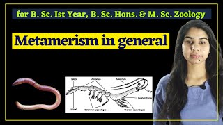 Metamerism in general II Zoology II B Sc [upl. by Suzanna]