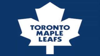 Toronto Maple Leafs Warm Up Songs 2014 [upl. by Ailemac787]