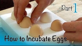 How to Incubate and Hatch Eggs  Part 1 of 3  Setting up the Incubator [upl. by Alleyn133]