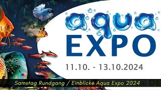 Aqua Expo 2024 Samstag Rundgang Mein Eindruck von der Aquaristikmesse in Dortmund [upl. by Jadd]