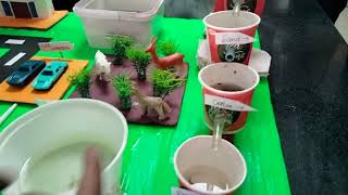 Traditional way of water purification explained by students through working model education [upl. by Aldwon228]