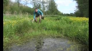 Les animaux du Printemps  Documentaire animalier [upl. by Francoise]