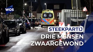 Steekpartij op straat in Honselersdijk [upl. by Den368]