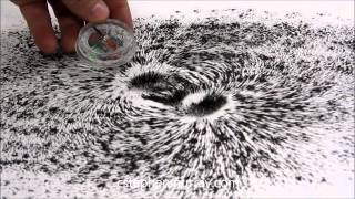 Magnetic Field Around Stack of Magnets With Iron Filings [upl. by Genesa271]