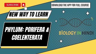 Phylum Porifera amp Coelenterata Class 11  संघ पोरीफेरा व सीलेंट्रेटा  कक्षा 11 NEET biology [upl. by Trevorr245]