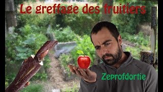 Comment faire du greffage de fruitiers facilement  greffagedefruitiers [upl. by Hassadah837]