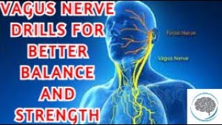 How The Vagus Nerve Impacts Your Balance And Movement [upl. by Strang]