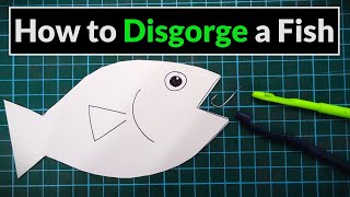 How to Use a Disgorger amp Unhook a Fish  Angling for Beginners [upl. by Ecinahs677]