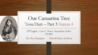 Our Casuarina Tree 12th EnglishStanza 4 Unit 2  Samacheer Kalvi [upl. by Ahsaekal440]