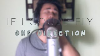 If I Could Fly  One Direction Cover [upl. by Ssilb]