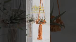 Handmade Air Plant Hangers – Discover More in My Store [upl. by Agnese454]