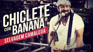 Chiclete com Banana Selvagem camaleoa YouTube Carnaval 2014 [upl. by Adnov373]