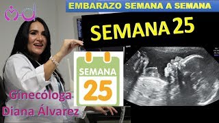 SEMANA 25 EMBARAZO SEMANA A SEMANA POR GINECOLOGA DIANA ALVAREZ [upl. by Annelak]