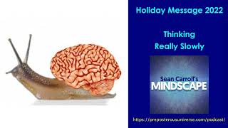 Mindscape Holiday Message 2022  Thinking Really Slowly [upl. by Refinnej]