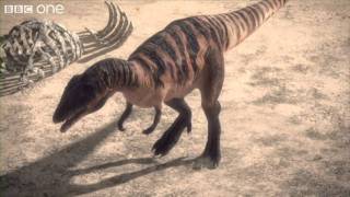 Carcharodontosaurus  Planet Dinosaur  Episode 1  BBC [upl. by Thorlie]