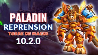 PALADIN REPRENSION TORRE DE MAGOS DRAGONFLIGHT 102 [upl. by Sorce]