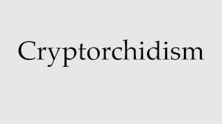 How to Pronounce Cryptorchidism [upl. by Urata]