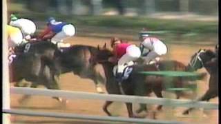 Arazi  1991 Breeders Cup Juvenile Post Race [upl. by Pirbhai154]