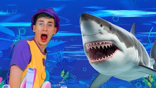 Sharks in the Water 🦈  Kids Funny Songs [upl. by Leivad734]