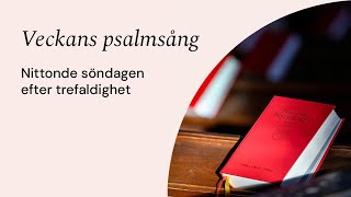 Veckans psalmsång  Psalm 19  Nittonde söndagen efter trefaldighet [upl. by Adolfo]