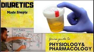 Diuretics CVS Pharmacology  part 1 [upl. by Ris]