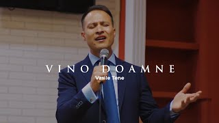 VASILE TENE  VINO DOAMNE  OFFICIAL VIDEO 2024 [upl. by Ariayek]