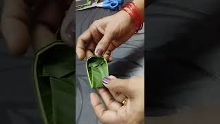 Mango leaf diy youtube diy diycrafts mangoleaf decoration mitavlog23 subscribe like shorts [upl. by Nairbal]