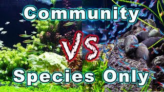 Community Fish Tank vs Species Only Tank Which One is BETTER [upl. by Aihseym715]