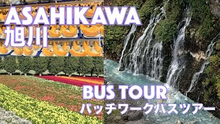 【Hokkaido Asahikawa 旭川】Bus Tour バスツアー [upl. by Annairdna]