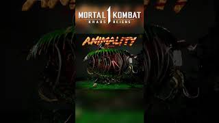 Mortal Kombat 1 Khaos Reigns  Reptile Animality 4K 60FPS [upl. by Gintz]