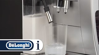 How to clean the milk frother using the clean function on your DeLonghi ECAM 25462 [upl. by Nordin]