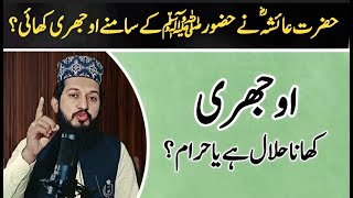 Janwar ki Ojhri Halal ya Haram  Ojhri khana kesa hy  Sahibzada Muhammad Bilal Shah [upl. by Cyma]