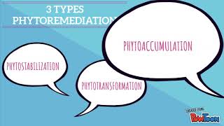 Phytoremediation [upl. by Cresa]