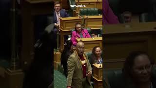 Haka Protests In New Zealand Parliament [upl. by Adiari]