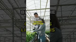 Unleashing the Power of Hydroponic Greenhouses [upl. by Nosecyrb]