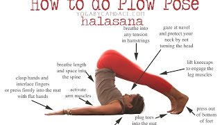 How to do Plow Pose [upl. by Aubigny]