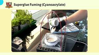 Cyanoacrylate Fuming  Fingerprint Development Method [upl. by Enilauqcaj561]