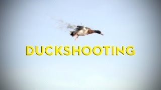 DUCK SHOOTING  Opening Weekend 2014 [upl. by Ibson]