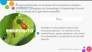 CURSO VIRTUAL DE ENTOMOLOGÍA Y FITOPATOLOGÍA2021I [upl. by Ternan]