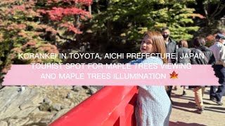 MY ONE DAY TRIP UNTIL NIGHT IN KORANKEI TOYOTA AICHI PREFECTURE JAPAN  MAPLE AUTUMN ILLUMINATION [upl. by Ingamar]