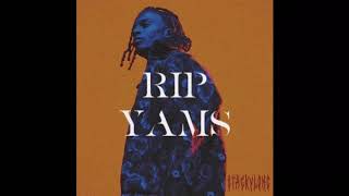 Playboi Carti  RIP YAMS INSTRUMENTAL ProdPierreBourne [upl. by Retsevlis]