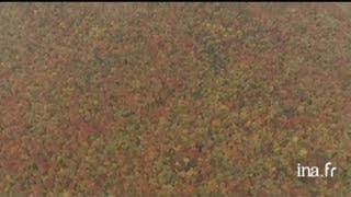 EtatsUnis  forêt et lac à Saranac Lake dans létat de New York 22 [upl. by Ardeha]