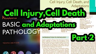 Reversible Cell Injury Robbins PathologyMorphology of Reversible Cell InjuryPathology lectures [upl. by Akihsar]