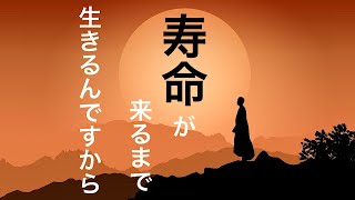 【保存版】人生で大切な事どん底、絶望感、大切な人との別れ、人間関係、負の感情の捉え方。足るを知る。 [upl. by Coletta609]