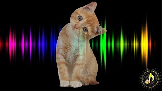 Cat Meow Sound Effect  Attract Cats Sounds Cats Love [upl. by Azriel49]