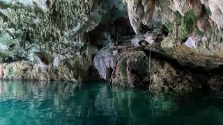 Cenote Puerta Maya Akumal Mexico [upl. by Oecam]