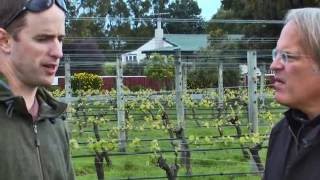 JAMESSUCKLINGCOM  New Zealand  The Wines of Martinborough [upl. by Till444]