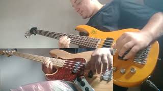 O Leãozinho Caetano Veloso  Instrumental Duo Bass [upl. by Lamhaj]