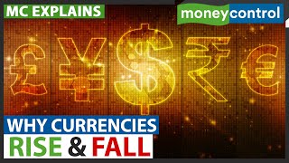 These Are The 5 Factors That Affect A Currencys Value  Why Currencies Rise amp Fall  Explained [upl. by Annet]