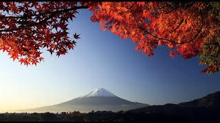 3 HOURS of the Best Traditional Japanese Music  Relaxing Music for Stress Relief and Healing [upl. by Swan]